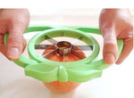 Fruit Slicer