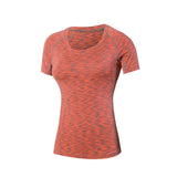 Women's Quick Drying Sports T Shirt